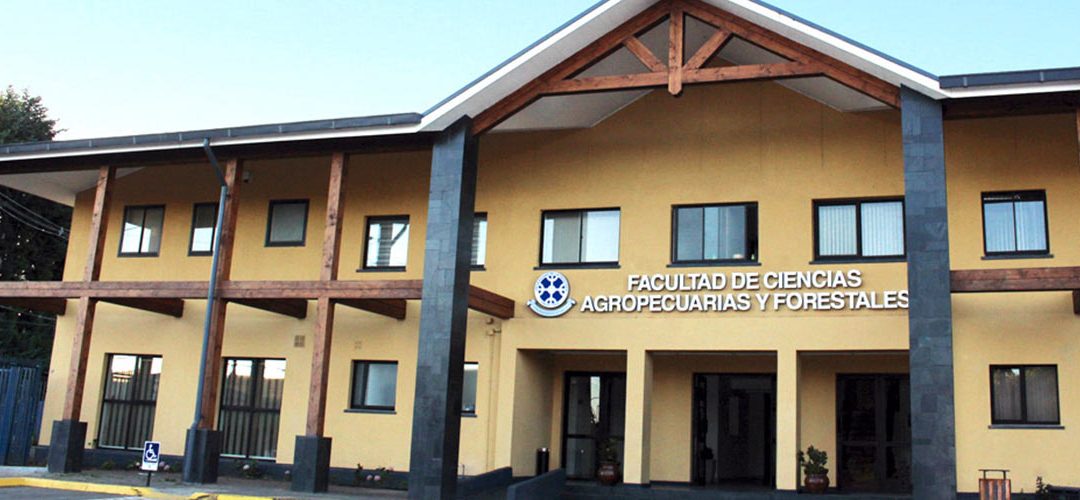 VI Reunión de la Red de Bioinsumos