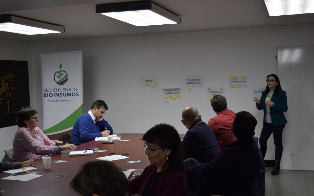 Asamblea de Socios – Junio 2019