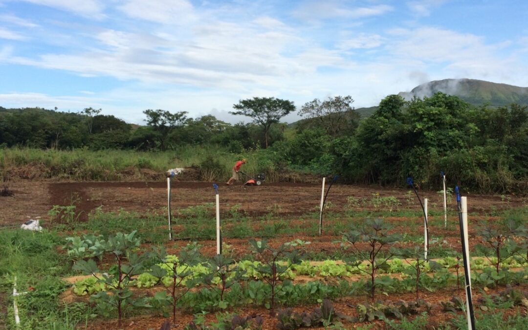 3er Seminario Internacional de Agricultura Orgánica