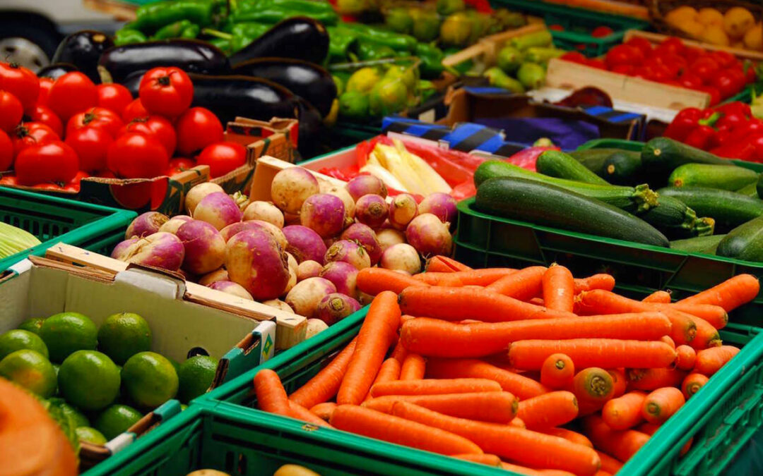 Estudio Nacional Empresas Proveedores Para El Agro