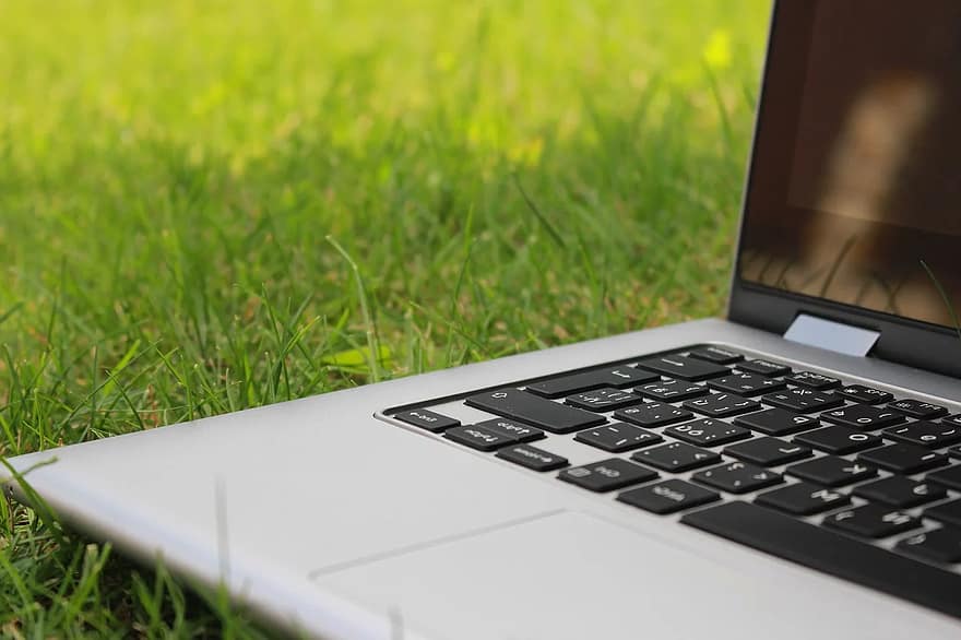 Curso Introductorio a los Bioinsumos