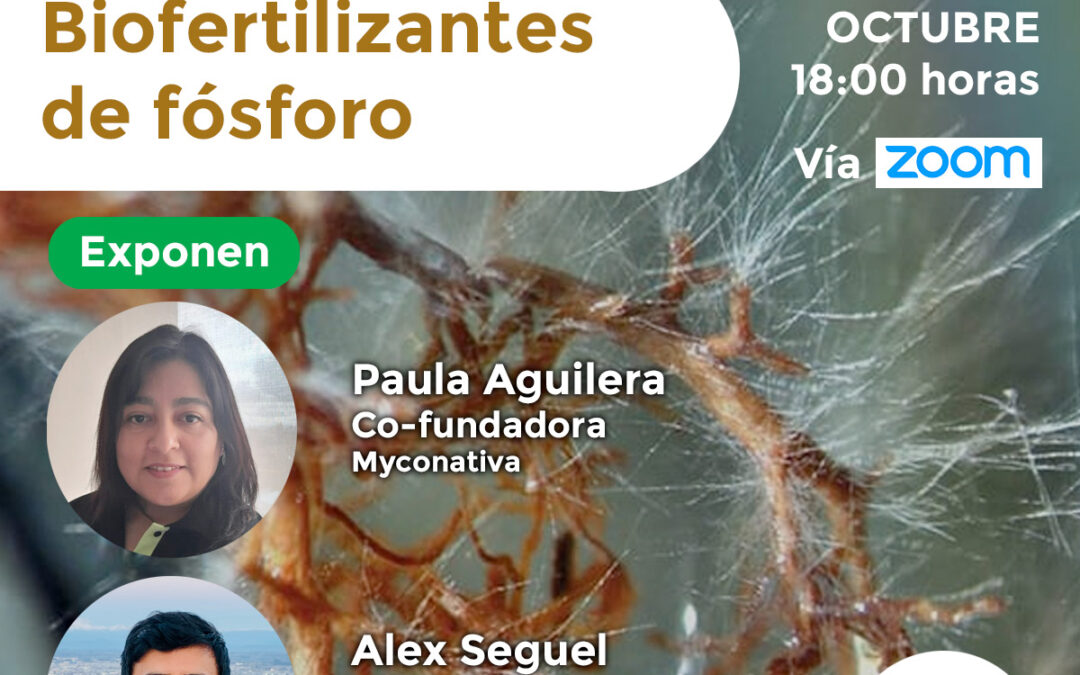 Biofertilizantes de fósforo