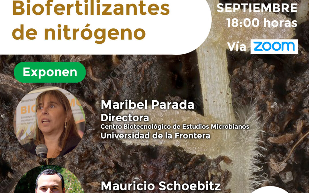 Biofertilizantes de nitrógeno