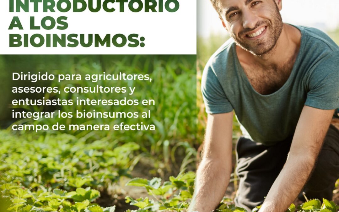 Protegido: Curso Internacional – Introducción a los Bioinsumos 2022