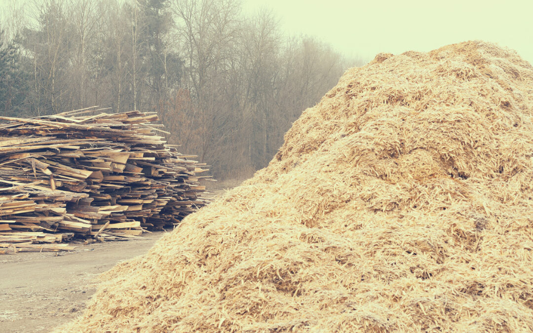 IV Simposio de Residuos Agropecuarios y Agroindustriales
