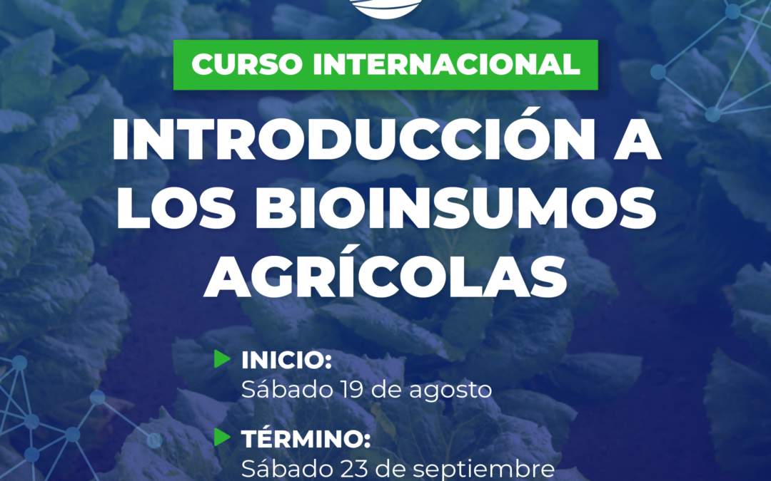 Protegido: Curso internacional – Introducción a los bioinsumos 2023